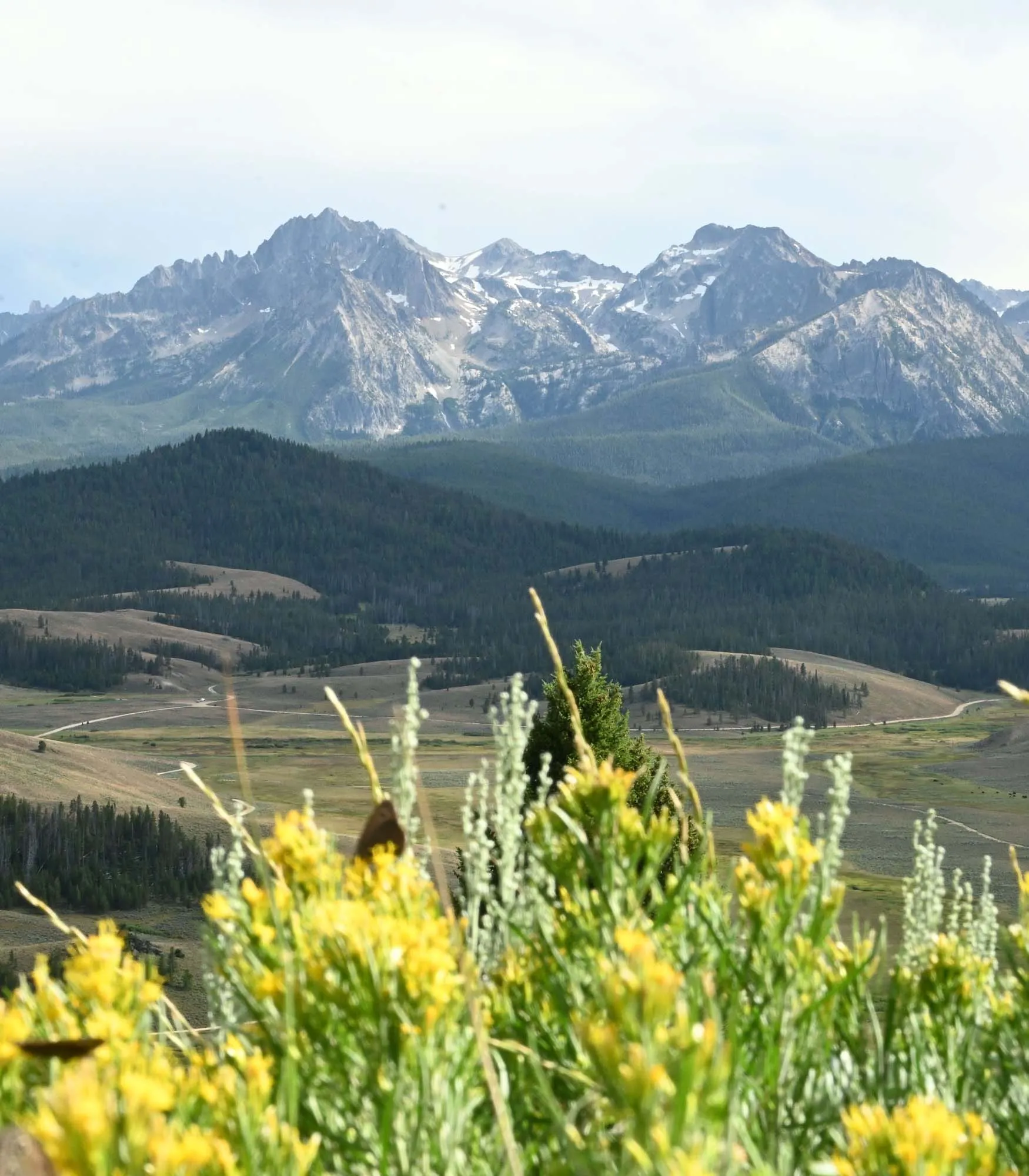 Life Coaching Mountain Image